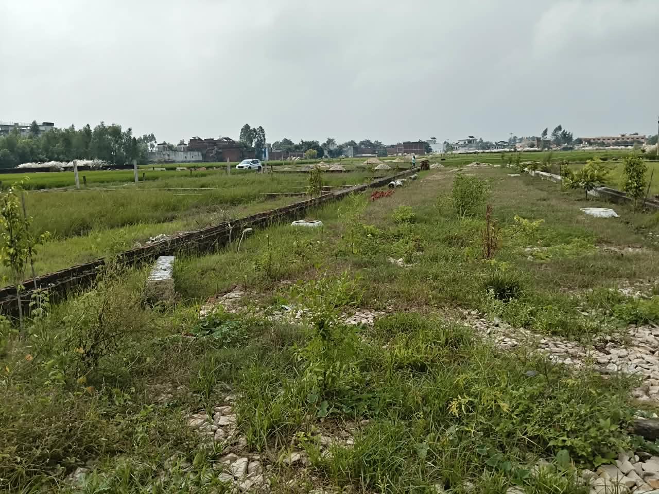 Featured Property