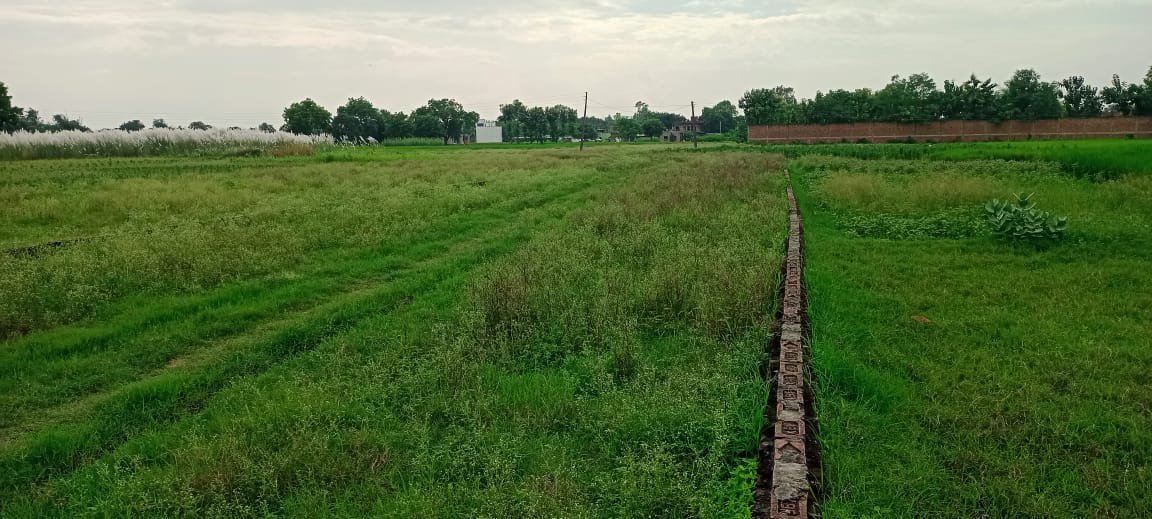 JIRABASTI PLOT